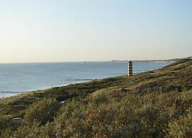 Wonderfully Quiet Situated in Polder near Beach