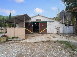 Holiday Home in Ficulle With Pool Access