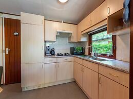 Pleasing Chalet in Stegeren near Forest