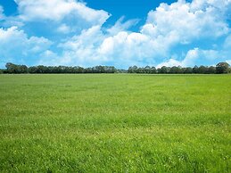 Pleasing Chalet in Stegeren near Forest