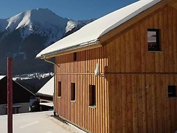 Wooden Chalet in Hohentauern Near ski Area