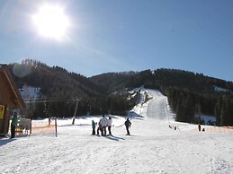 Wooden Chalet in Hohentauern Near ski Area