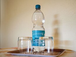 Scintillating Apartment in Wienrode near City Center