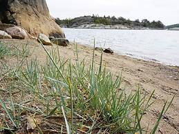 Peaceful Coastal Getaway on Oddo