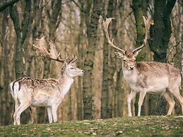 Semi-detached Holiday Home Near the Sea