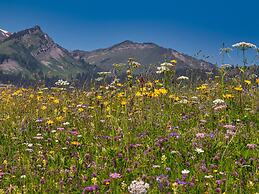 Apartment in Bichlbach With a Shared Sauna