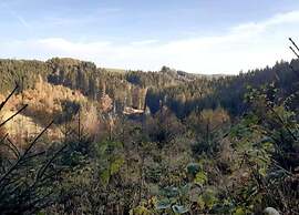 Farmhouse in Gouvy With Garden