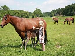 Farmhouse in Gouvy With Garden