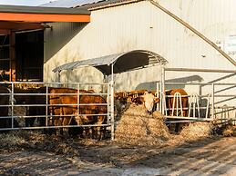 Charming Vacation Home With Terrace