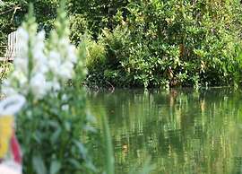 House on Water, Surrounded by Nature