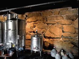 Belvilla by OYO Villa on an Organic Wine Estate