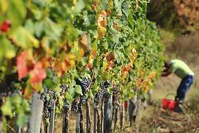 Belvilla by OYO Villa on an Organic Wine Estate