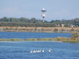 Sun Drenched Seaside Holiday Home with Pool near Venice