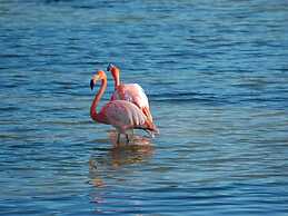 Sun Drenched Seaside Holiday Home with Pool near Venice