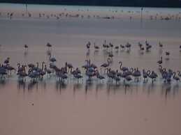 Sun Drenched Seaside Holiday Home with Pool near Venice