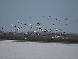 Sun Drenched Seaside Holiday Home with Pool near Venice