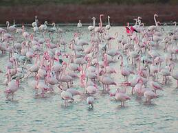 Sun Drenched Seaside Holiday Home with Pool near Venice