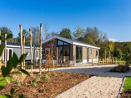 Modern Chalet With Dishwasher Near Efteling