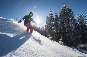 Nice Apartment With Dishwasher, Near the Ski Slopes