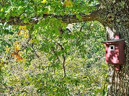 8 Person Holiday Home in Henan