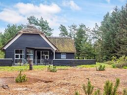 4 Star Holiday Home in Norre Nebel
