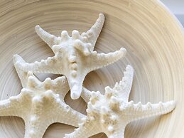 Rustic Farmhouse Retreat in Groet