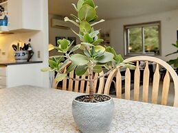 Beachside Serenity-by Traum