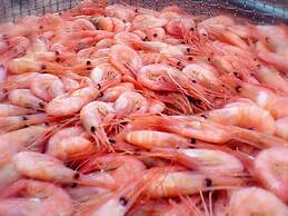 2 Person Holiday Home in Lysekil