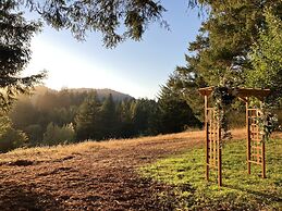 The Stavrand Russian River Valley