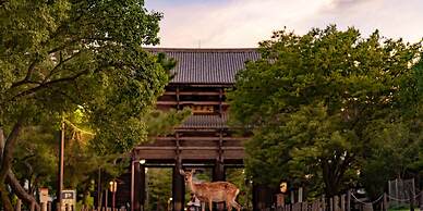 Hotel Tenpyo Naramachi