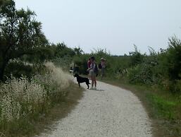Les Calicots Sanguinet