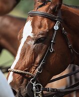 B&B Villa Maria Guest Rooms - San Roque Golf - Sotogrande