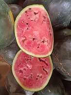 B&B Villa Maria Guest Rooms - San Roque Golf - Sotogrande