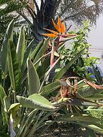 B&B Villa Maria Guest Rooms - San Roque Golf - Sotogrande