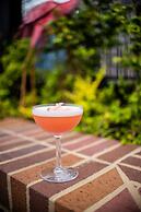 Virgin Hotels New Orleans