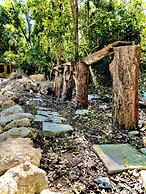 Hotel Tequila Cancun