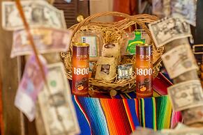 Hotel Tequila Cancun