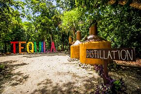 Hotel Tequila Cancun