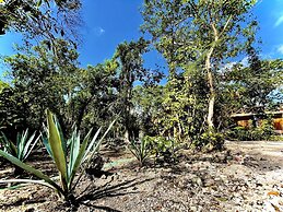 Hotel Tequila Cancun