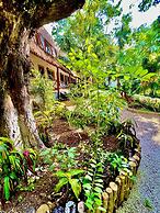 Hotel Tequila Cancun