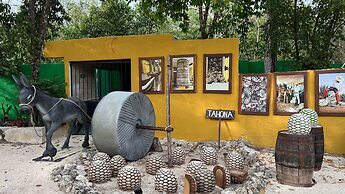 Hotel Tequila Cancun