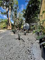 Hotel Tequila Cancun