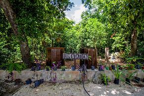 Hotel Tequila Cancun