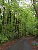 Cosy Cottage for Ecotourism Lovers, Near Corwen