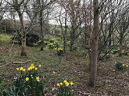 Y Twlc Mochyn - Ecofriendly - Farm Animals