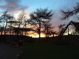 Y Twlc Mochyn - Ecofriendly - Farm Animals