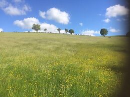 Y Twlc Mochyn - Ecofriendly - Farm Animals