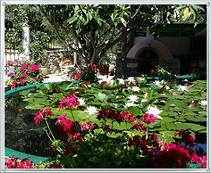 Amazing Cottage Close From the sea - Crete