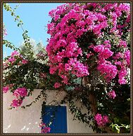 Exclusive Cottages are in S West Crete in a Quiet Olive Grove Near the