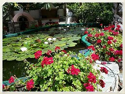 Exclusive Cottages are in S West Crete in a Quiet Olive Grove Near the